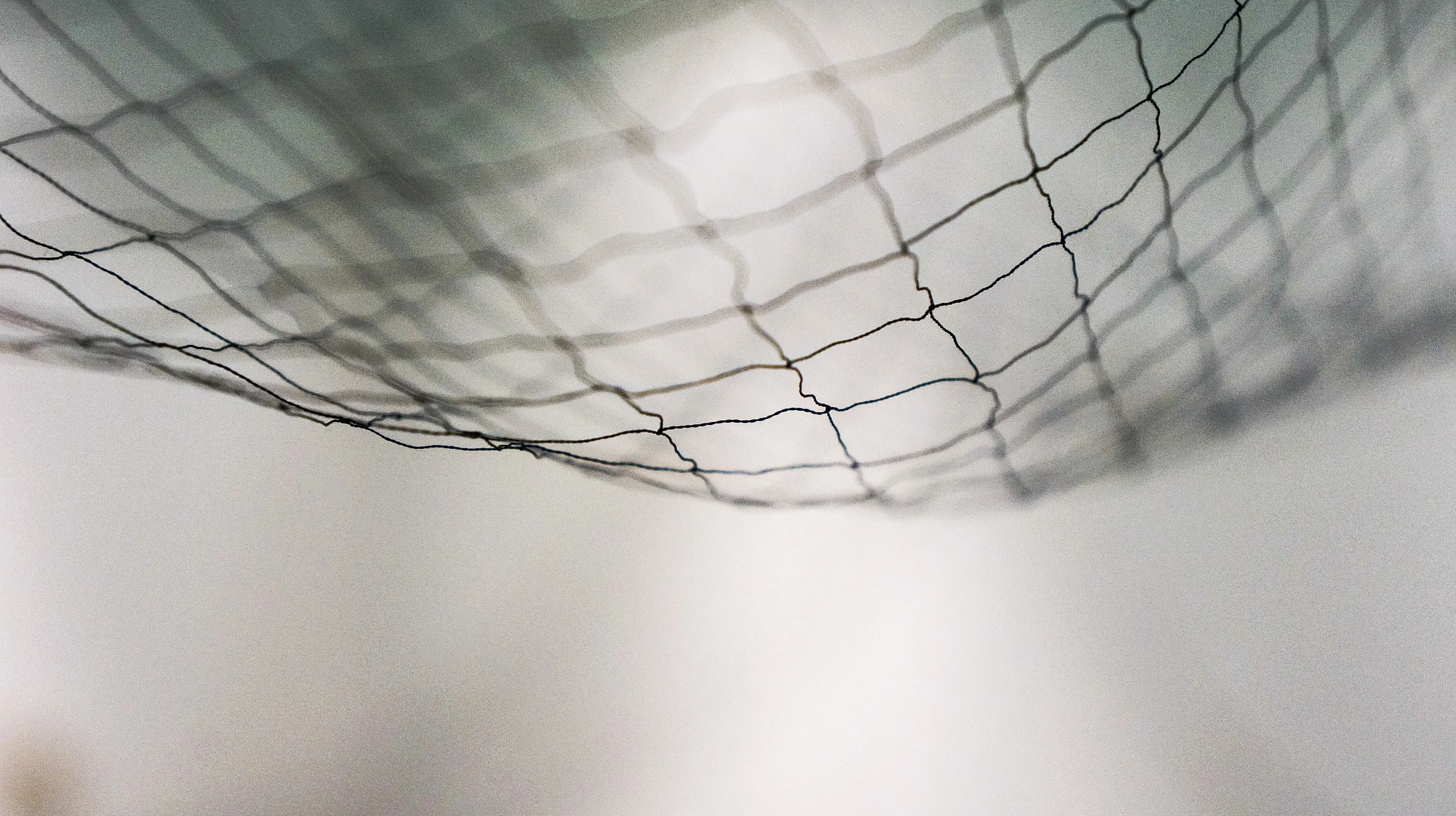 Badminton net